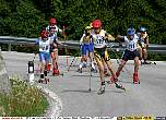 img8292.jpg