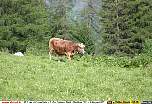 img8307.jpg