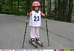 skiroll6030.jpg