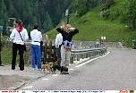 skiroll1253.jpg