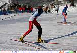 skiroll8664.jpg
