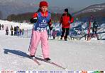 skiroll9127.jpg