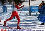 skirolloa0120.jpg