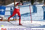skirolloa0124.jpg