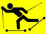 logoGialloSkiroller.jpg (4946 byte)