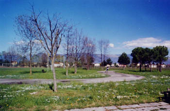 pista6.jpg (24472 byte)